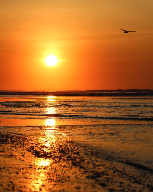 Gold Coins by artist Mike Shay